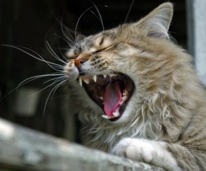 � �������������� ��� ������ �����������